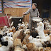 Η άλλη πλευρά της Κίνας! Γυναίκες ταΐζουν 1300 αδέσποτους σκύλους...