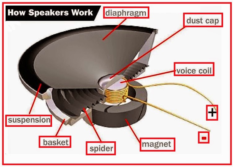 How Speakers Work? EEE COMMUNITY