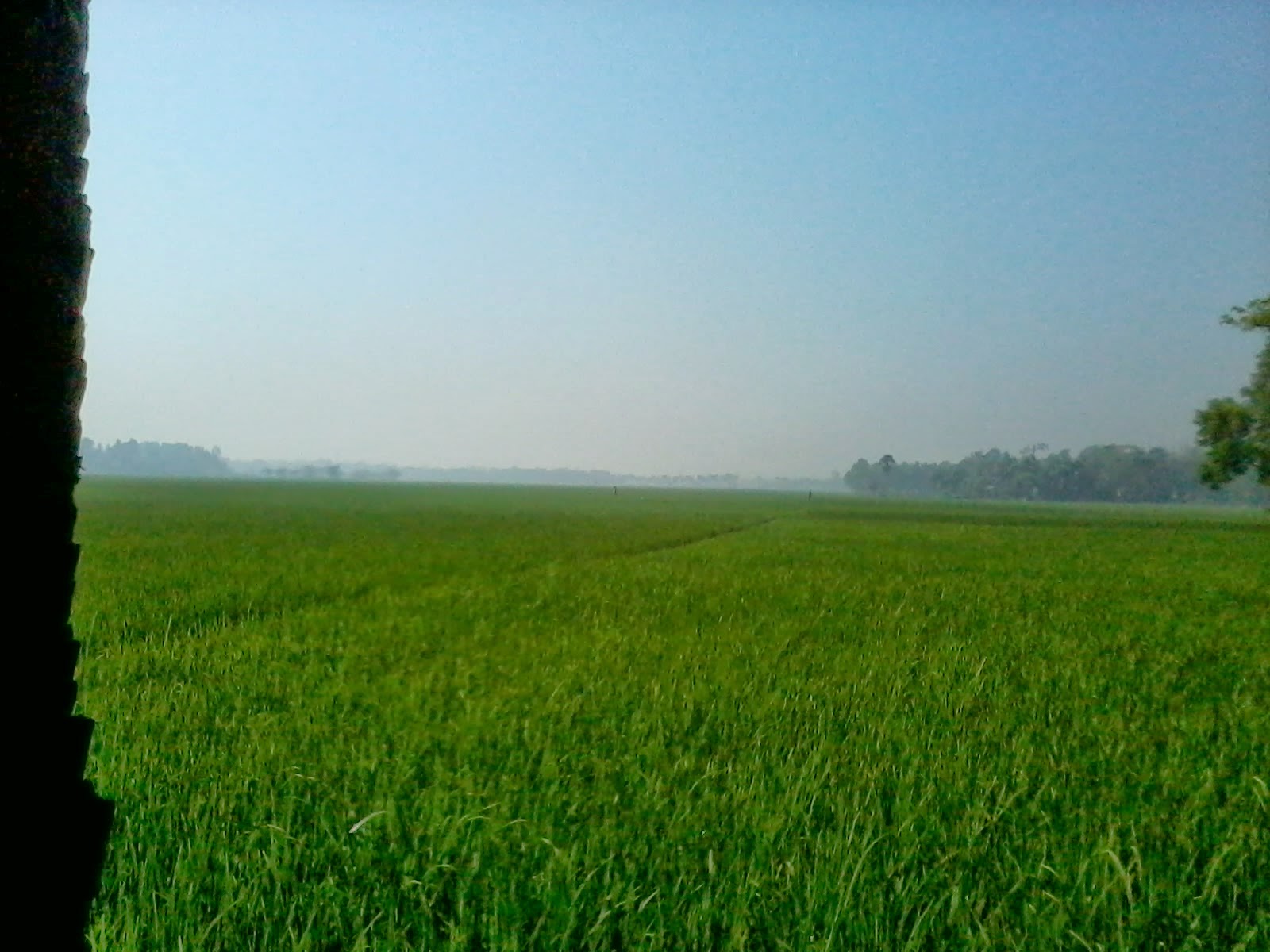HD Nature Beautiful Cool Wallpapers- Gram Banglar Picture