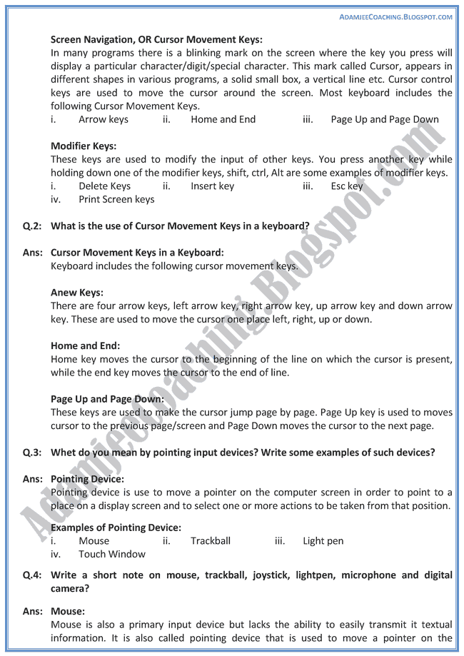 essay on input devices of computer essay on input devices of computer