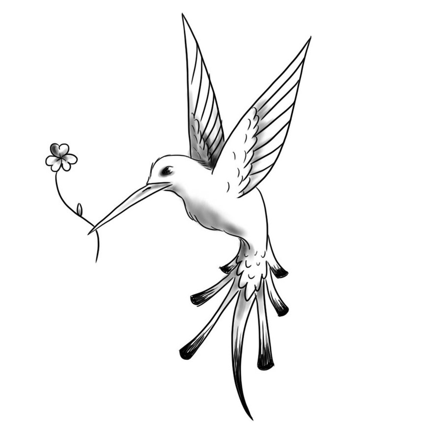 tattoos of humming bird hummingbird bird tattoo designs tattoos of humming bird hummingbird bird tattoo designs
