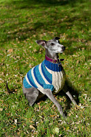 Dog Sweater Dog Sweater