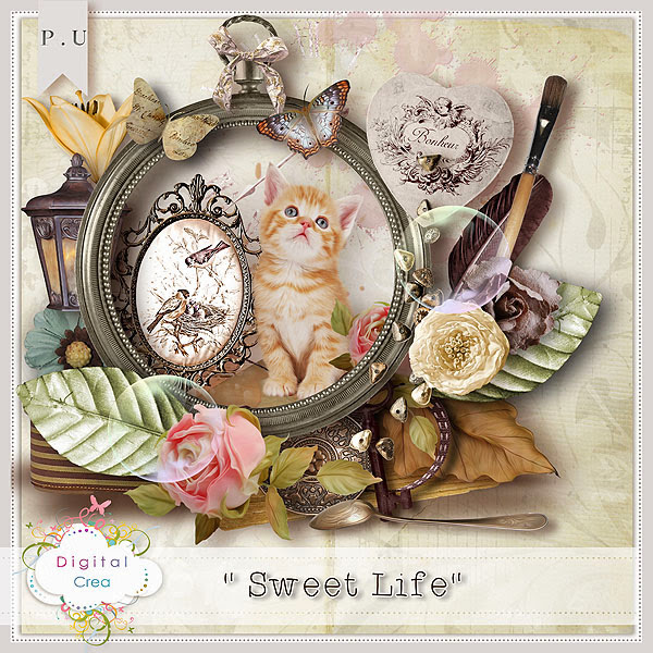 http://digital-crea.fr/shop/complete-kits-c-1/collab-sweet-life-part2-p-14974.html#.UpN7wuJLjEA