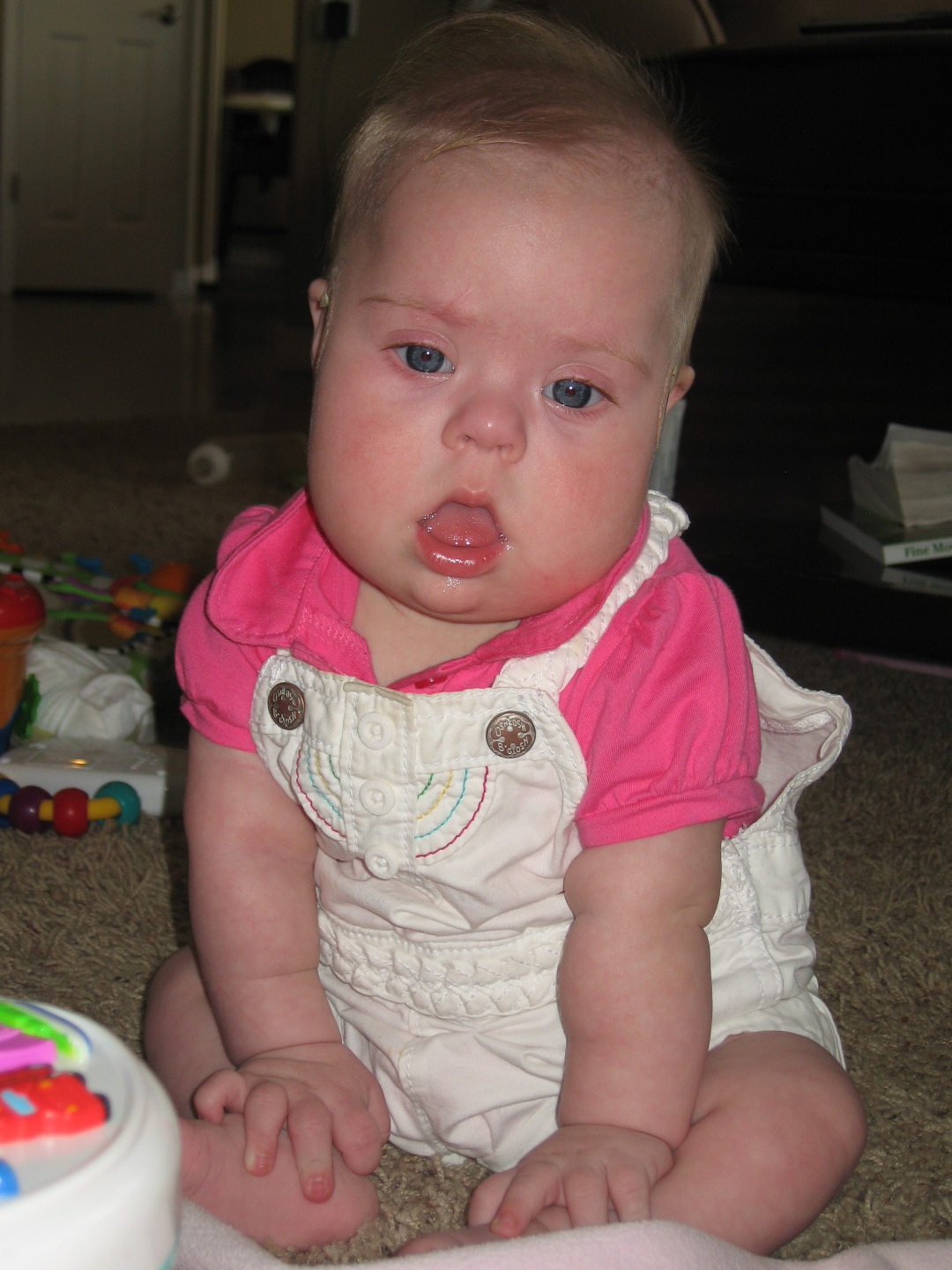 Johannsen's Crazy Life Tripod sitting