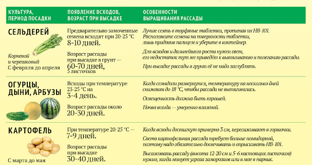 Как оформить открытку маме 19
