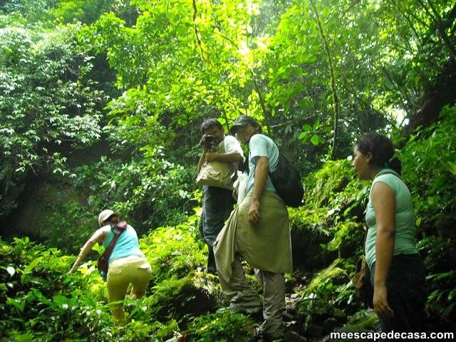 Caminata a las cascadas del Shilcayo, Perú (Maju, Abel, Dante y Paquita)