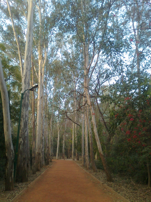 PhotoStew Rose Garden, Hauz Khas, New Delhi