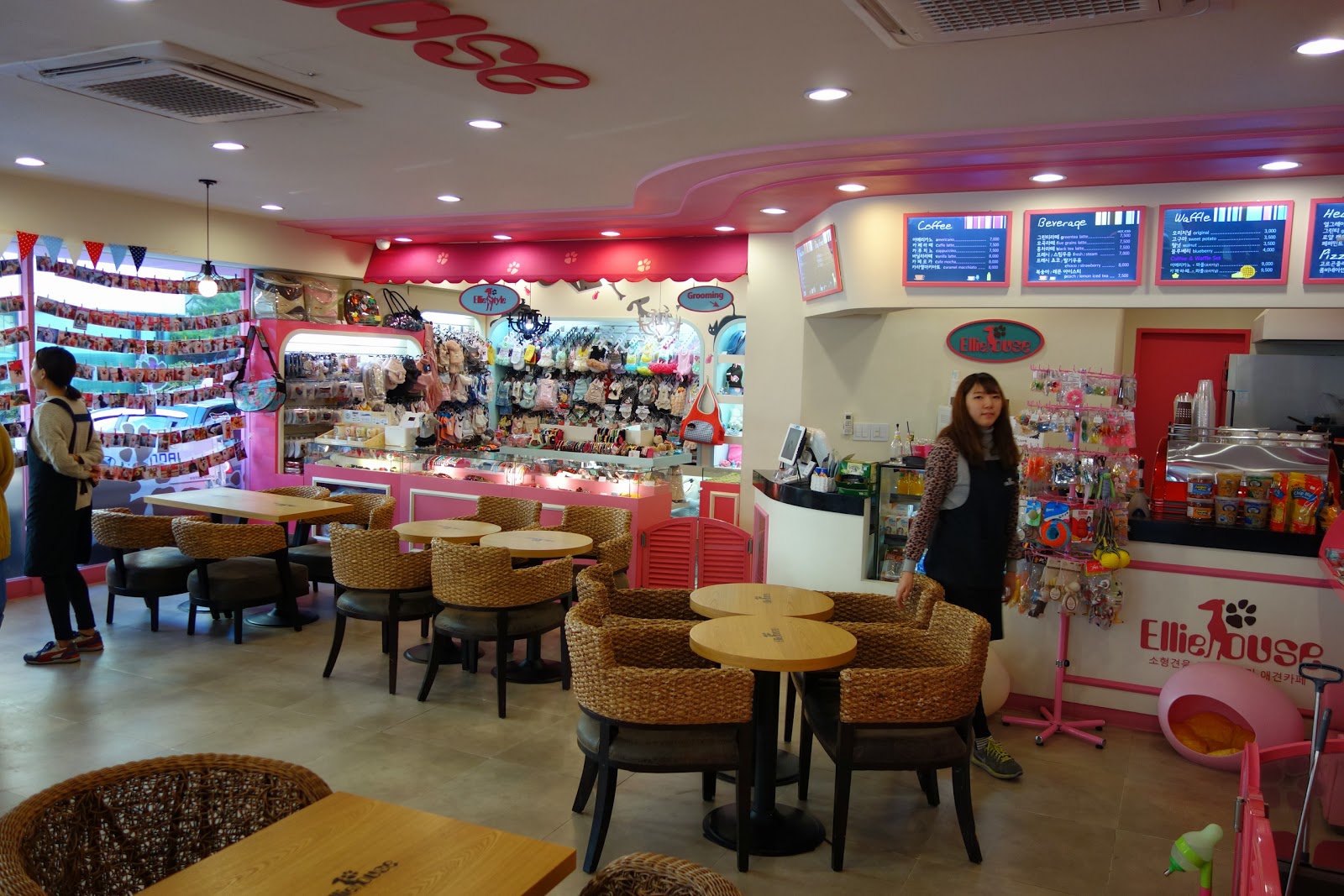 G'Day Korea Pet Cafe Gangnam Seoul