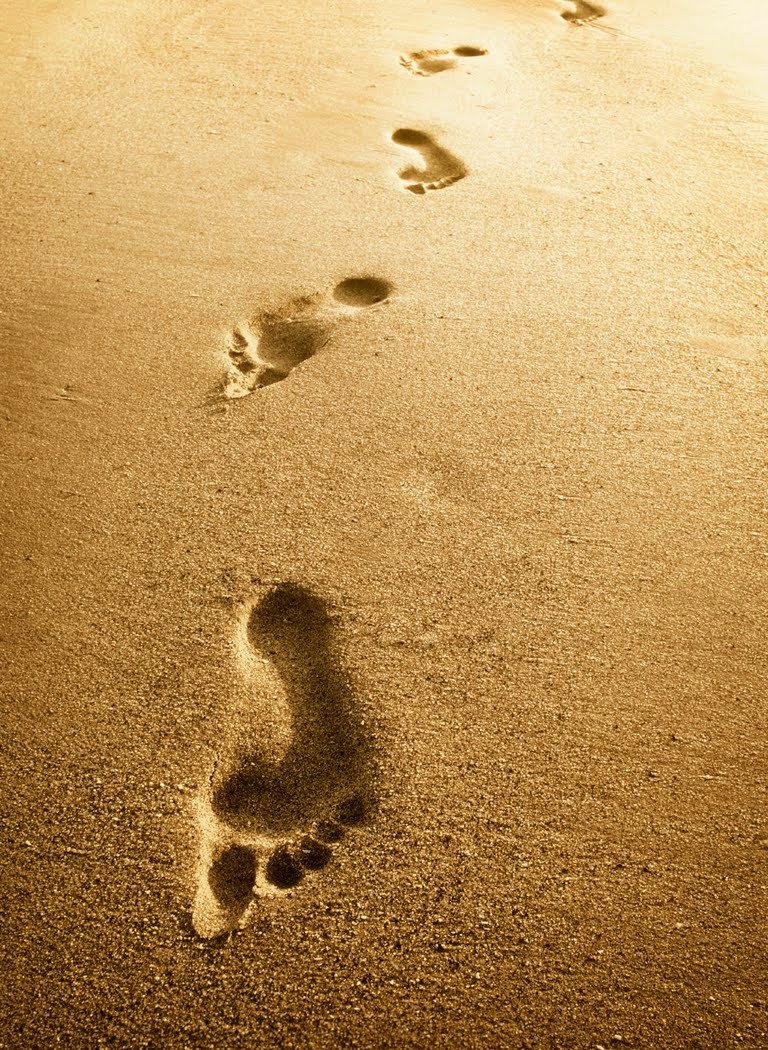 A Journey begins with the desire to take the first step.