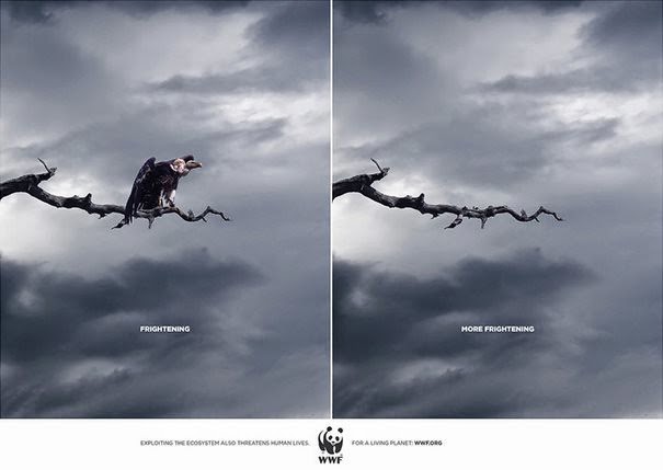 dinfo.gr - 33 δυνατές διαφημιστικές καμπάνιες για τα ζώα που λένε την άσχημη αλήθεια
