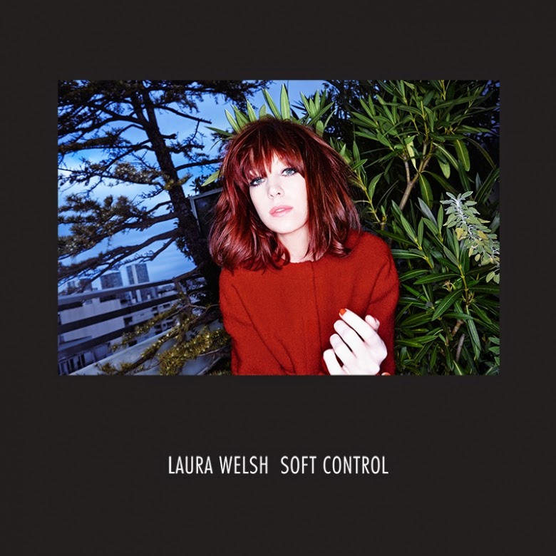 Soft Control, de Laura Welsh