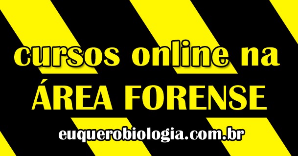 Cursos online reconhecidos pelo mec