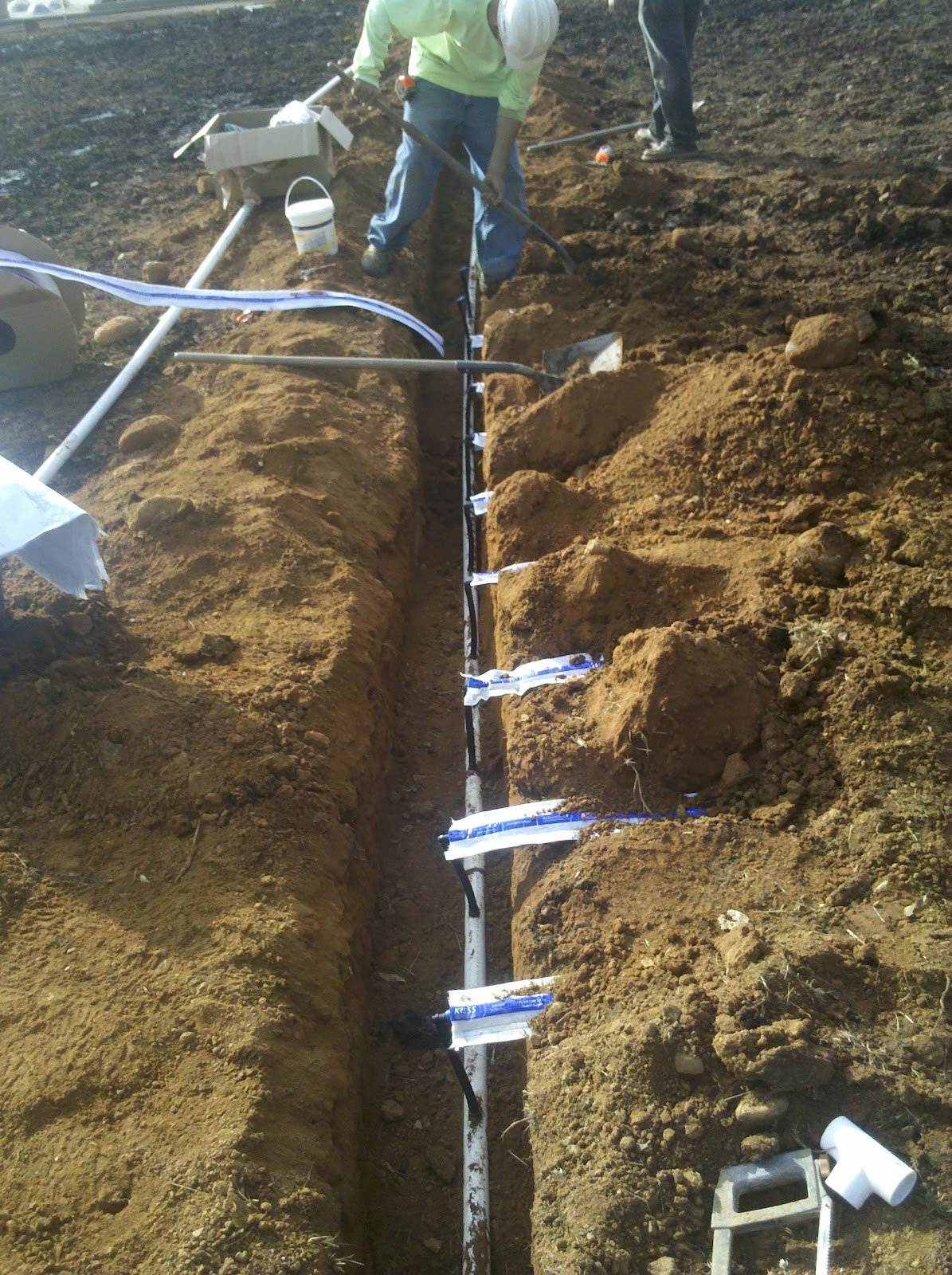 AboveCapricorn Effective Turf Irrigation