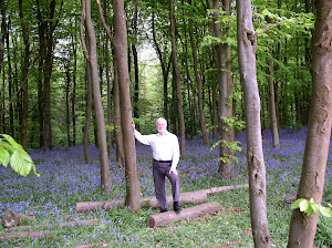 In Bluebell Wood, Crickhowell