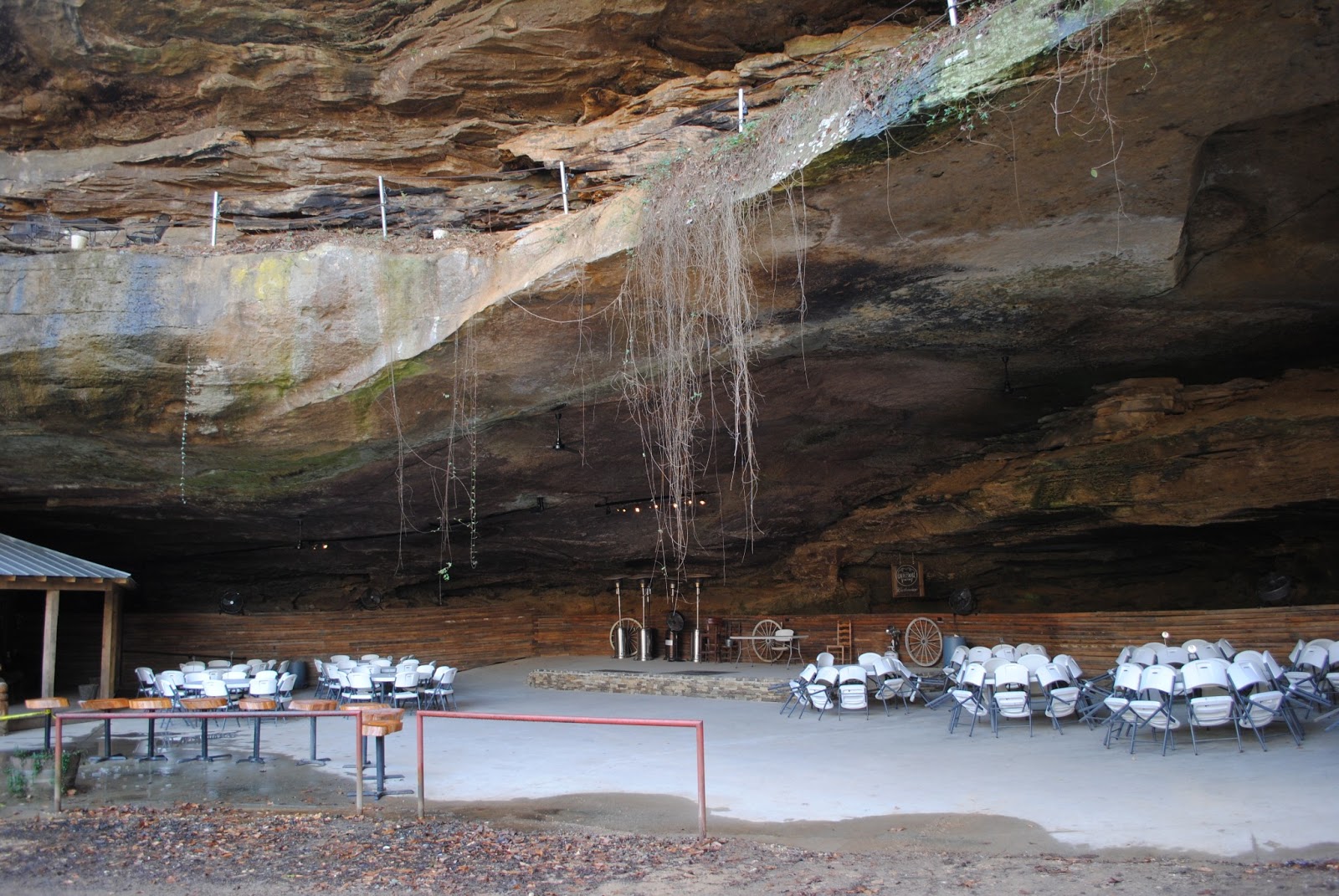 Brambly Pines Rattlesnake Saloon