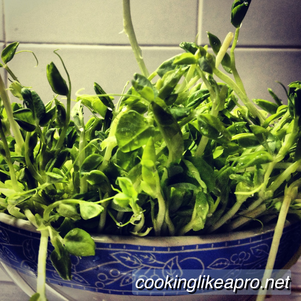 Cooking Pea Sprouts (Wok Recipe) Quick And Easy Recipes