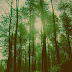 Is the International Union for Conservation of Nature Independent?