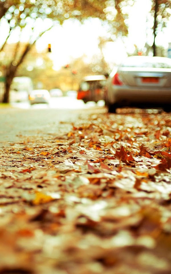 Autumn Fallen Leaves Bokeh Cars Android Wallpaper