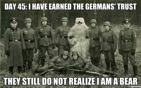 nazi-bear.jpg