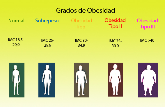 Se puede bajar de peso con ejercicio y sin dieta image 2