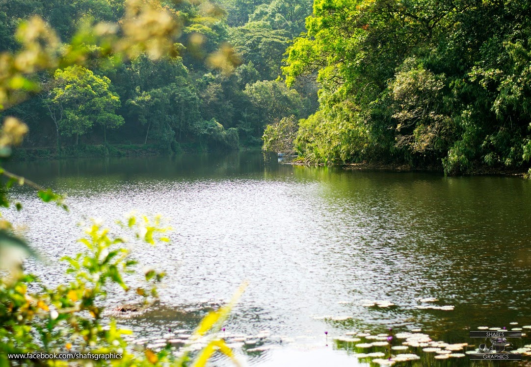 pookode Lake pookode Lake