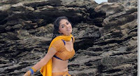 Tamil, actress, sunaina, navel, show, photos