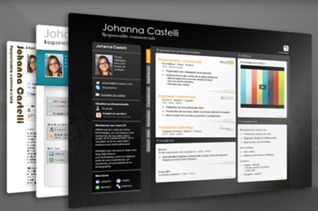 exemple cv numerique