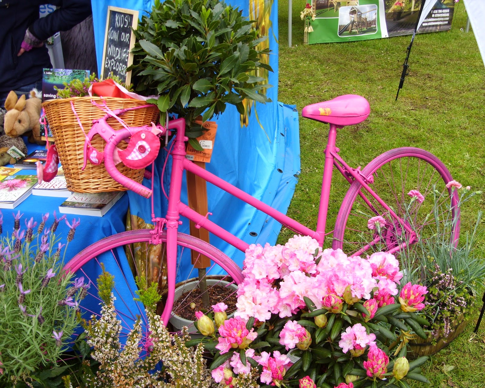 Kelli's Northern Ireland Garden Garden Show Ireland Photos (1)