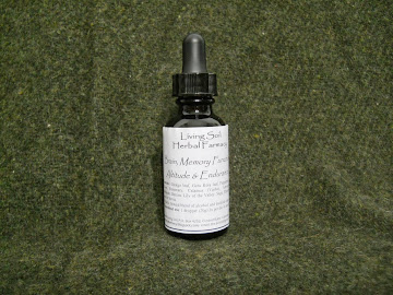 Brain, Memory Function, Altitude Endurance Tincture $21.99