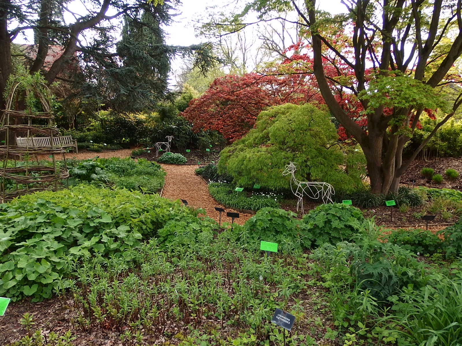 Garden Visit University of Bristol Botanic Garden