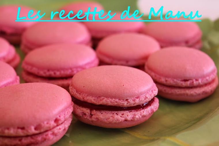 Les recettes de Manu !