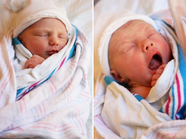 newborn portraits from brittandhive.com newborn portraits from brittandhive.com