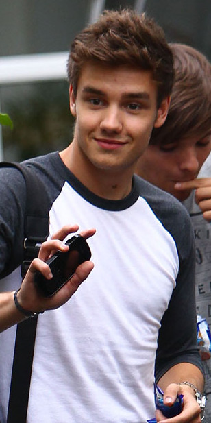 payen agama profil biodata personil one direction inda christie s payen agama profil biodata personil one direction inda christie s