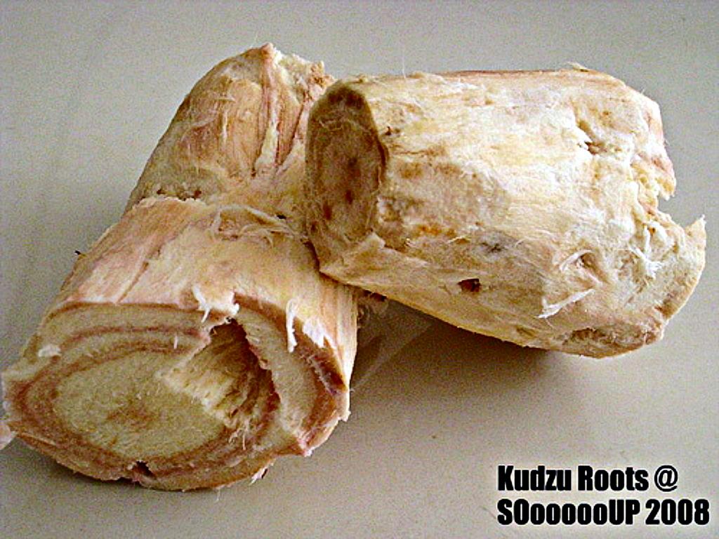 SOoooooUP KUDZU ROOT SOUP