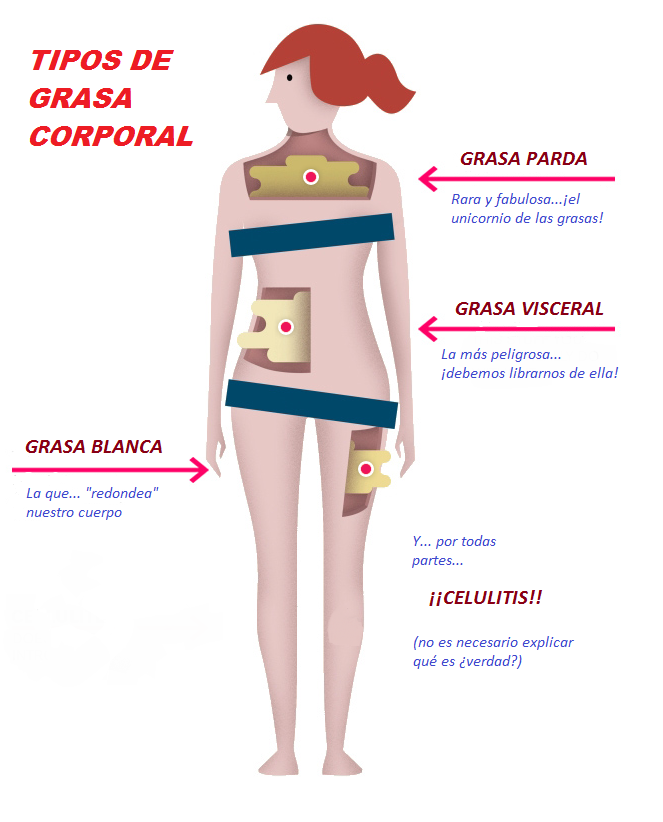 Cuantas horas diarias debo caminar para bajar de peso algunas ellas Cuantas horas diarias debo caminar para bajar de peso