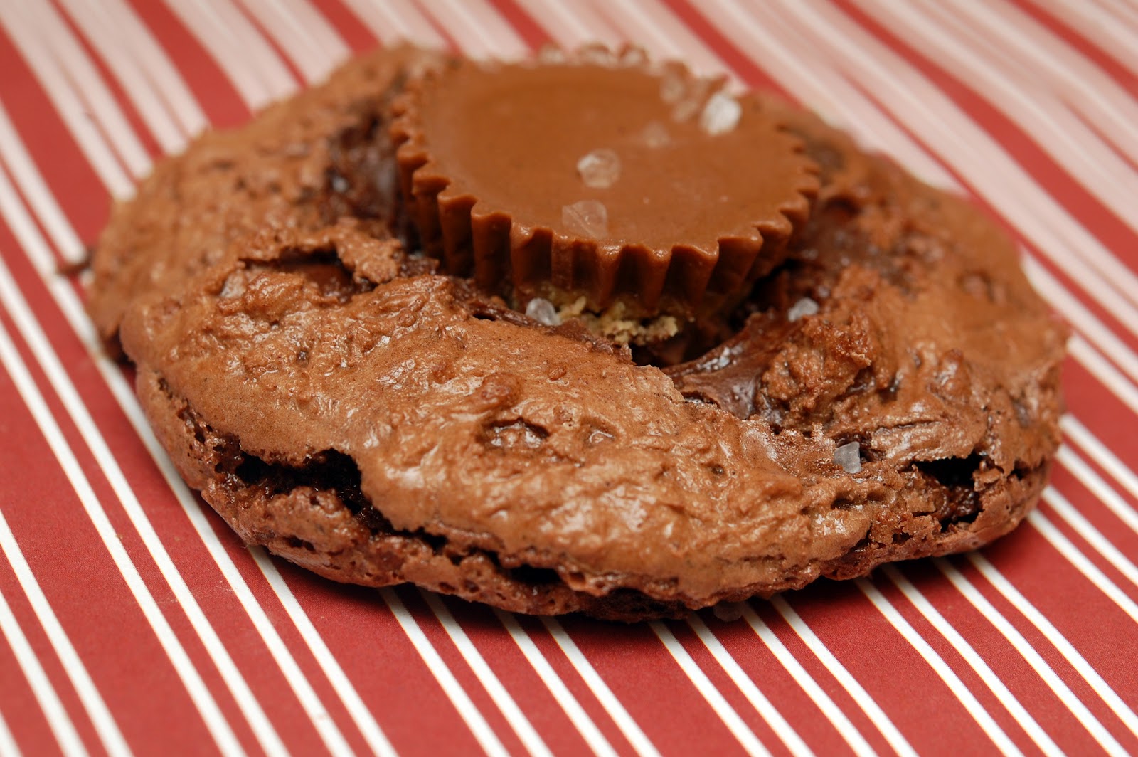 GLUTEN FREE HUGS & COOKIES XO FLOURLESS PEANUT PUTTER CUP BROWNIE