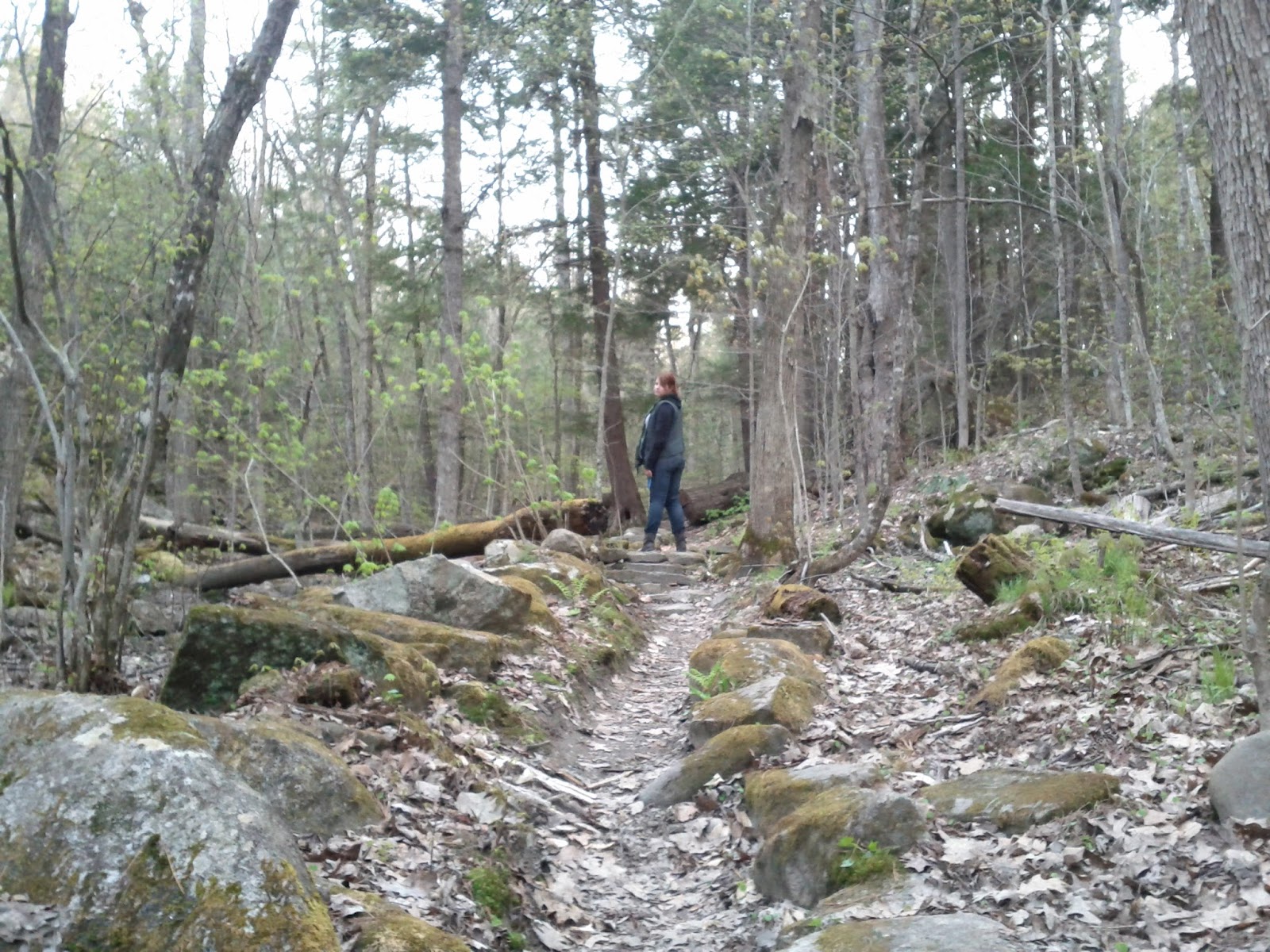 Adventures in Hobbit Land!