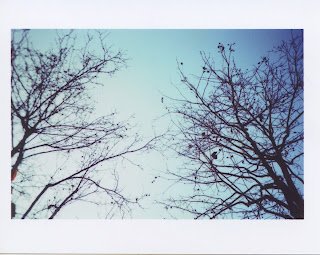 Photographie de Virginie Kiffer