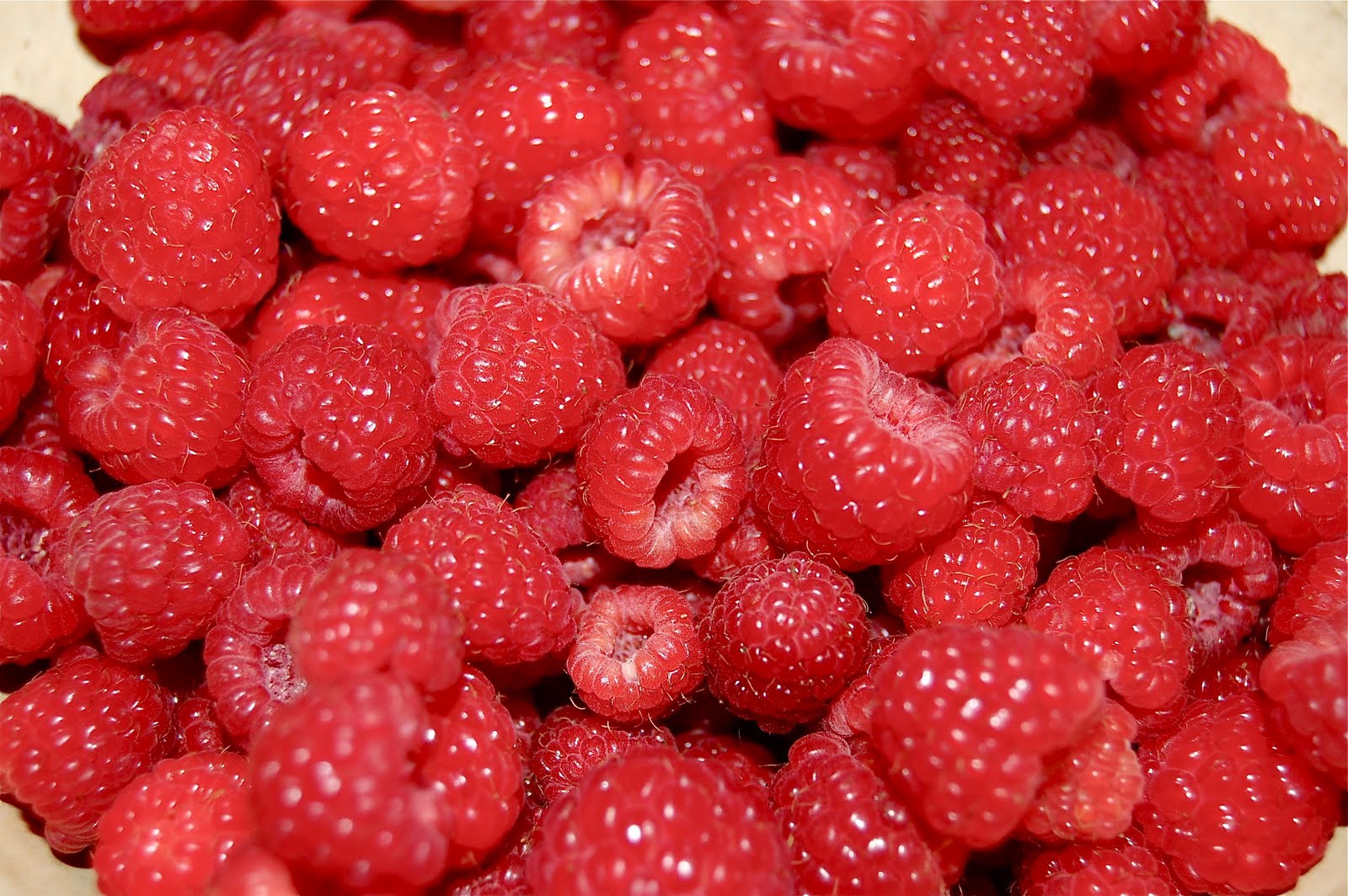 From Seeds To Harvest Fresh Red Raspberries Are Here!