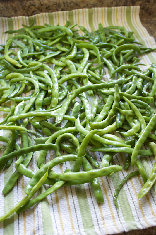 Handmade by Meg K Putting Up Green Beans