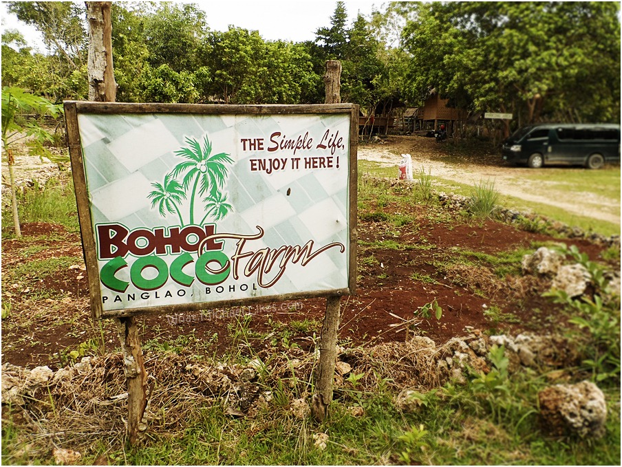What Michael Likes Bohol Coco Farm The Real Ultimate FarmVille