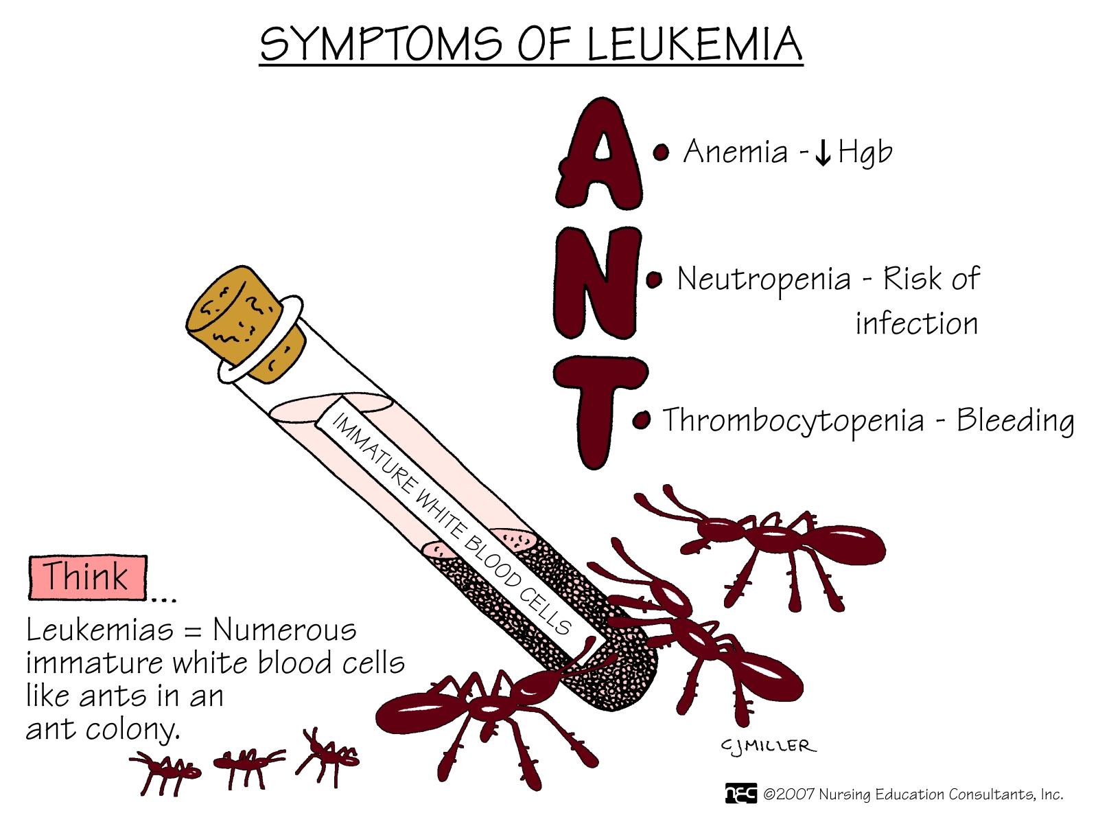 Symptoms+of+Leukemia+(ANTS) Symptoms+of+Leukemia+(ANTS)
