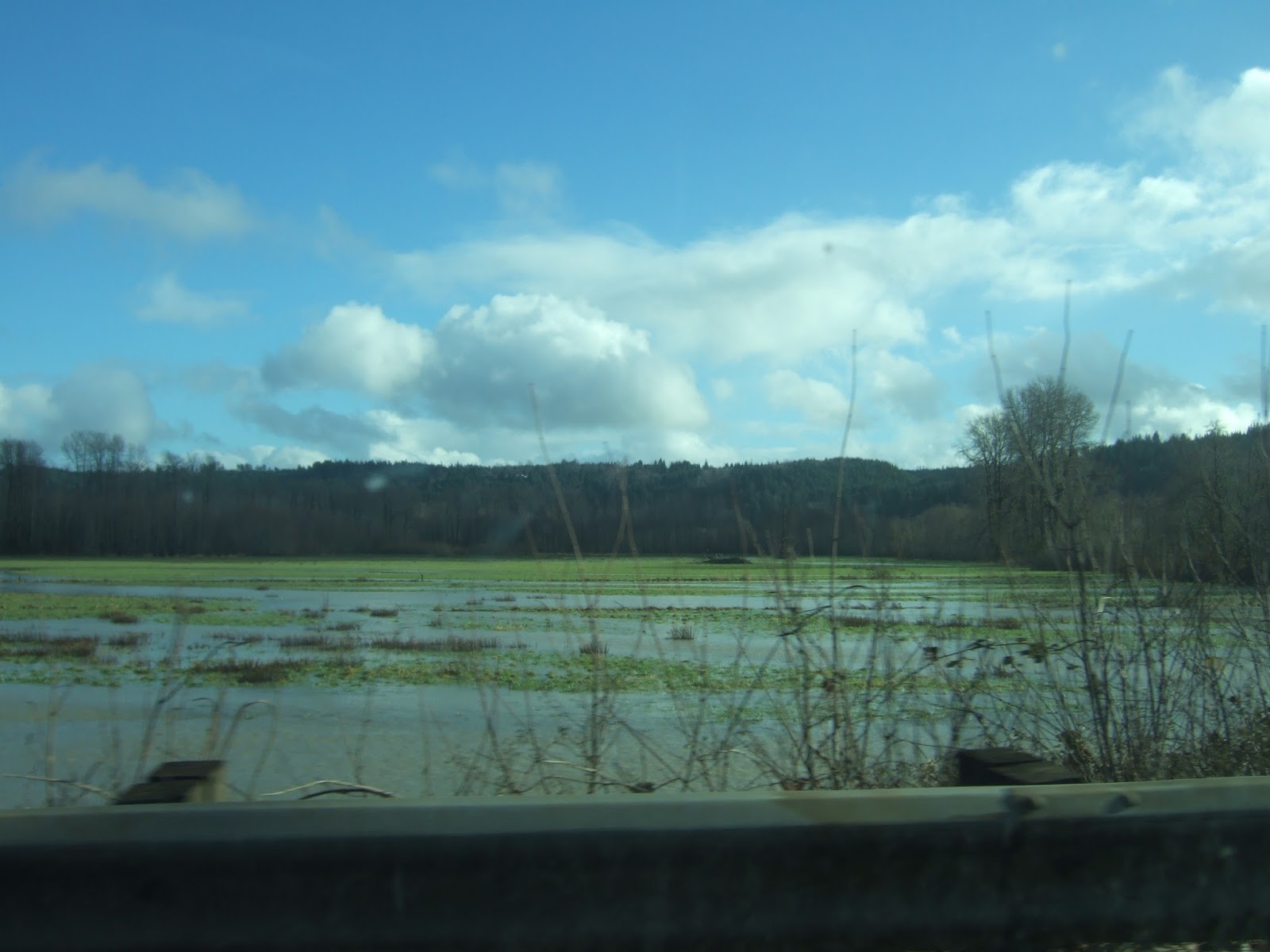 Reading the Washington Landscape Skokomish River Washington State Flood Champion