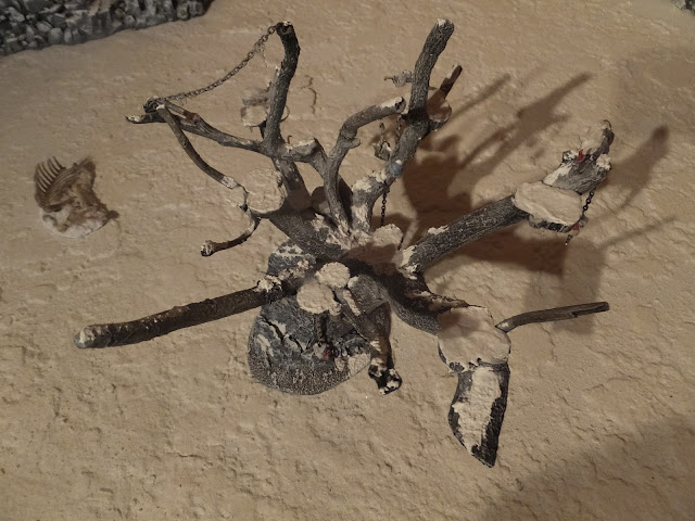 DSCF9674.JPG