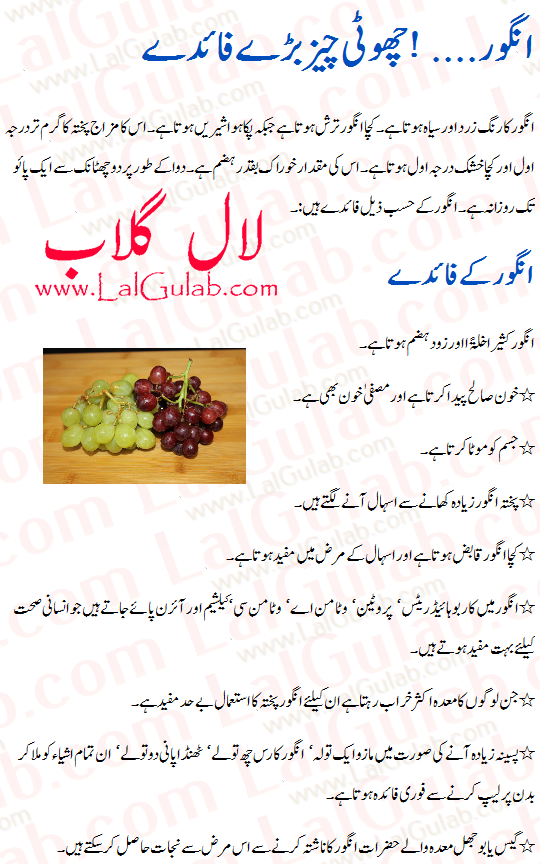 Urdu essays in urdu language
