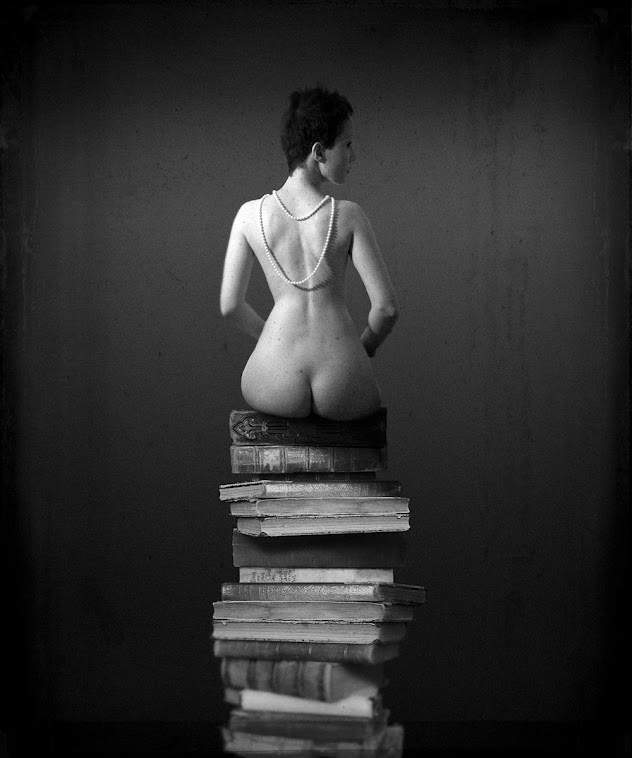 The Book's Lover