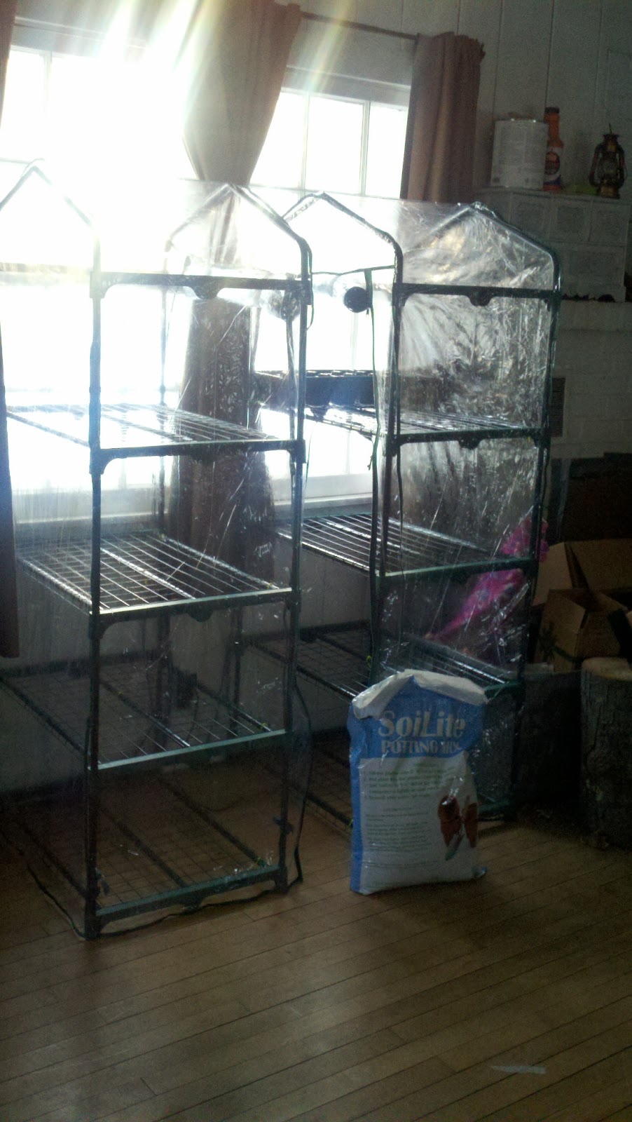 The Freehold Making and using greenhouses