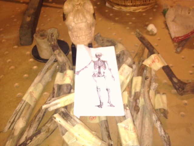 Stephanie Brockway: The Making of a Driftwwod Skeleton Puppet