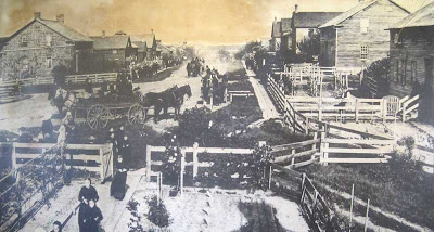 Black and white photo of horses on a dirt street, front yards with wooden fences and vegetable gardens, clapboard houses