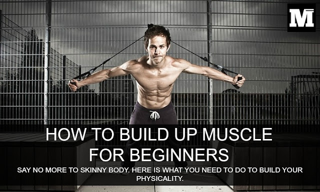 How to build up muscle for beginners | My Unsettling Life | Bloglovin'